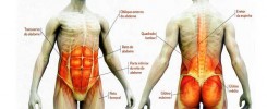 pilates powerhouse muscles 7961a7ltunhp19afz1cvirsj2syumcjwmi